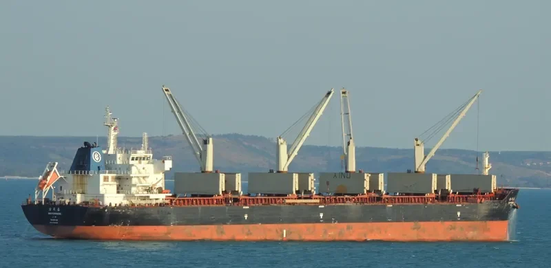 FEI RUN Bulk Carrier IMO 9621015