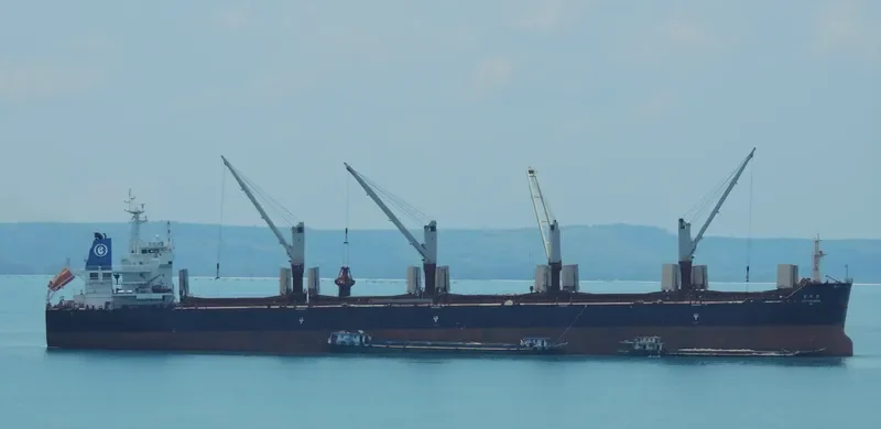 FEI RUN Bulk Carrier IMO 9621015 photo 2