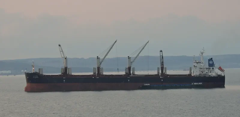 FEI RUN Bulk Carrier IMO 9621015 photo 3