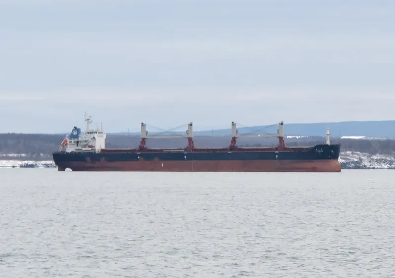 FEI RUN Bulk Carrier IMO 9621015 photo 4