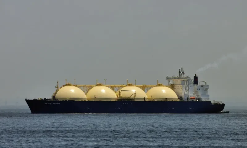 PACIFIC ARCADIA General Cargo IMO 9621077 photo 3