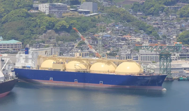 PACIFIC ARCADIA General Cargo IMO 9621077 photo 4