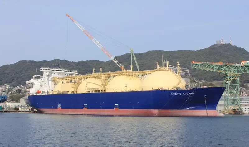 PACIFIC ARCADIA General Cargo IMO 9621077 photo 5