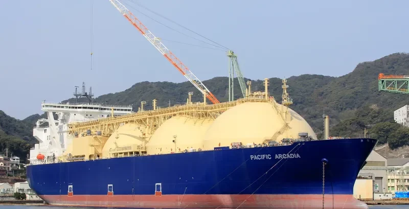 PACIFIC ARCADIA General Cargo IMO 9621077 photo 6
