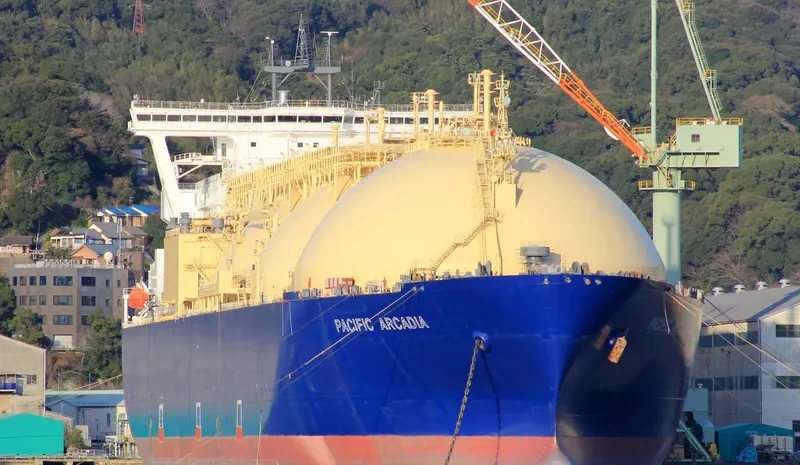 PACIFIC ARCADIA General Cargo IMO 9621077 photo 7