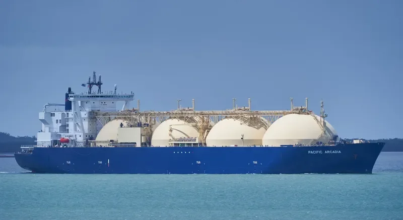 PACIFIC ARCADIA General Cargo IMO 9621077 photo 8