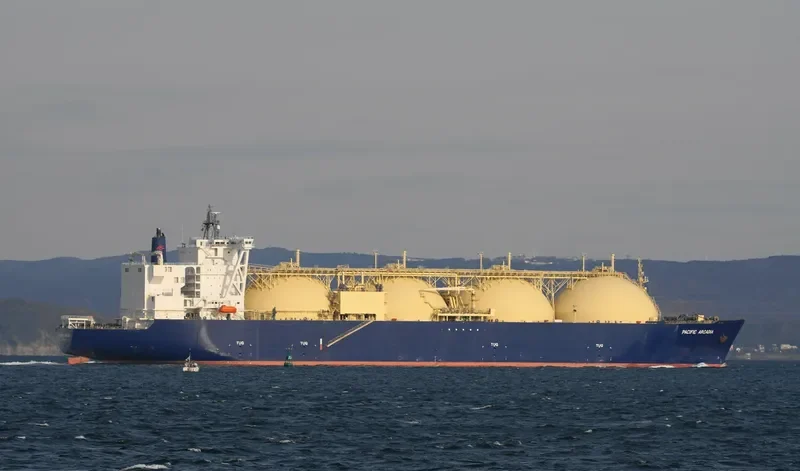 PACIFIC ARCADIA General Cargo IMO 9621077 photo 9