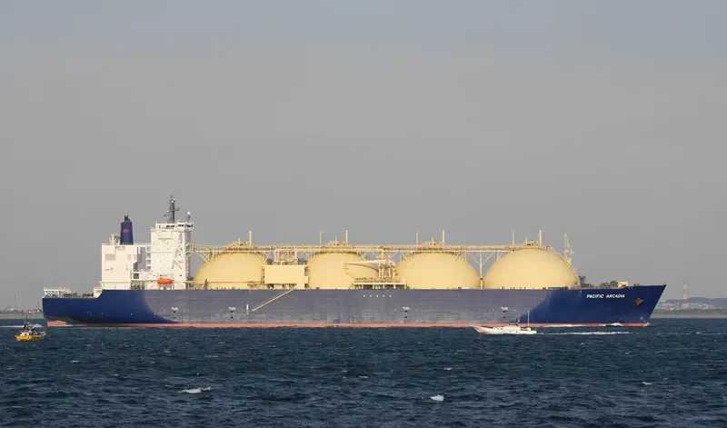 PACIFIC ARCADIA General Cargo IMO 9621077 photo 10