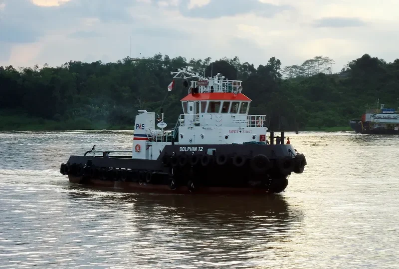 DOLPHIN 12 General Cargo IMO 9621091