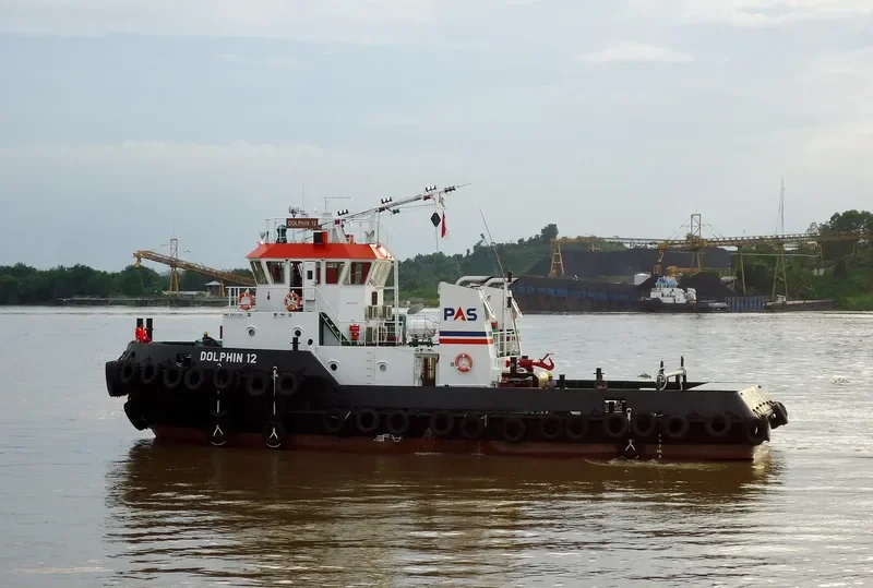 DOLPHIN 12 General Cargo IMO 9621091 photo 3