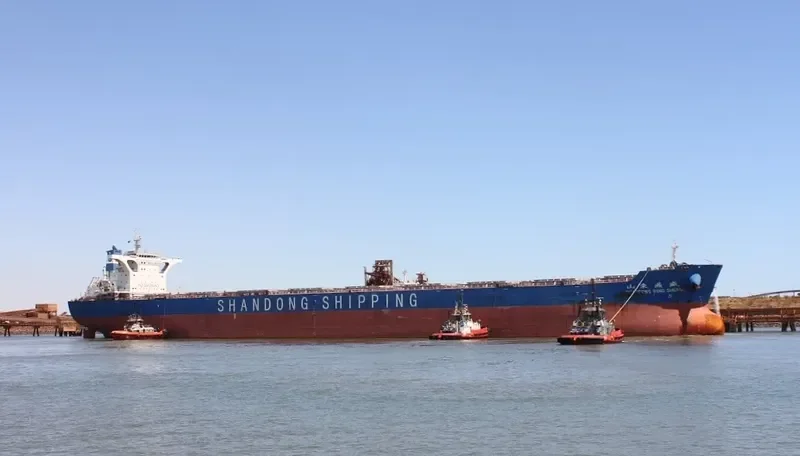 SHANDONG DING SHENG Bulk Carrier IMO 9621144