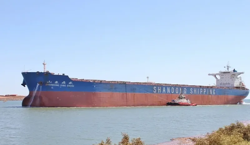 SHANDONG DING SHENG Bulk Carrier IMO 9621144 photo 2