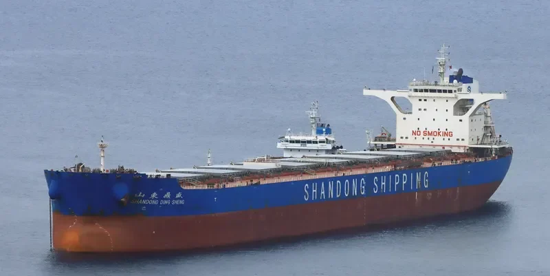 SHANDONG DING SHENG Bulk Carrier IMO 9621144 photo 8