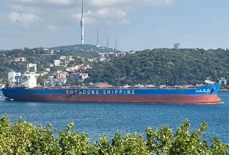 SHANDONG DING SHENG Bulk Carrier IMO 9621144 photo 9