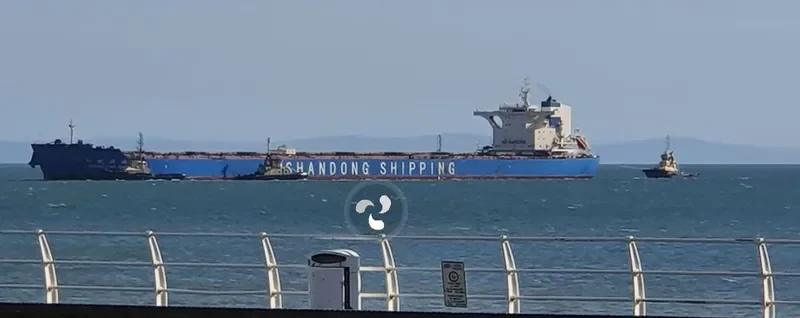 SHANDONG DING SHENG Bulk Carrier IMO 9621144 photo 10