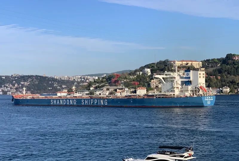 SHANDONG HENG CHANG Bulk Carrier IMO 9621156 photo 9