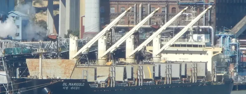 DL MARIGOLD Bulk Carrier IMO 9621170