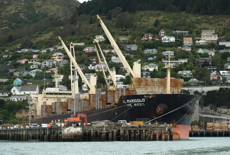 DL MARIGOLD Bulk Carrier IMO 9621170 photo 2