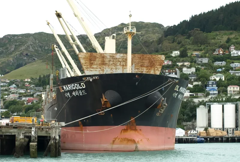 DL MARIGOLD Bulk Carrier IMO 9621170 photo 3