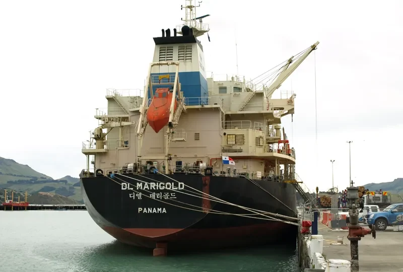 DL MARIGOLD Bulk Carrier IMO 9621170 photo 4