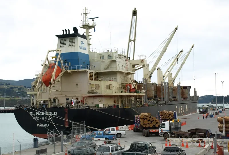 DL MARIGOLD Bulk Carrier IMO 9621170 photo 5