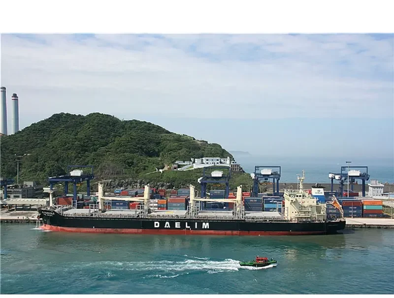DL MARIGOLD Bulk Carrier IMO 9621170 photo 6