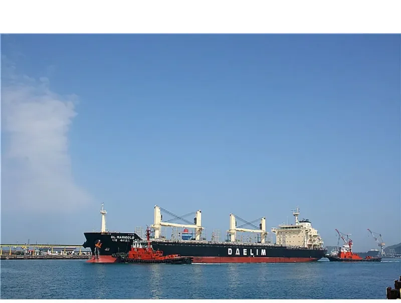 DL MARIGOLD Bulk Carrier IMO 9621170 photo 8