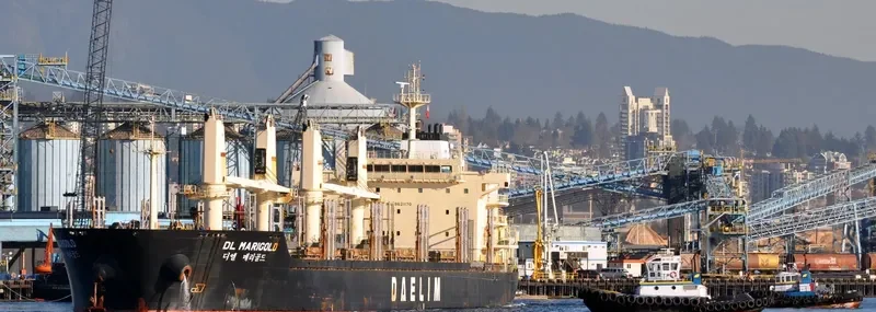 DL MARIGOLD Bulk Carrier IMO 9621170 photo 9