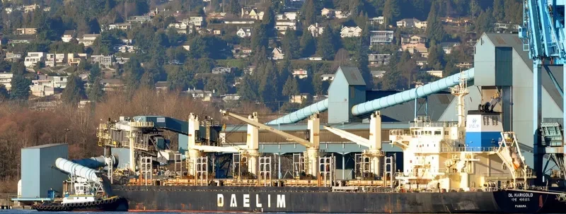 DL MARIGOLD Bulk Carrier IMO 9621170 photo 10