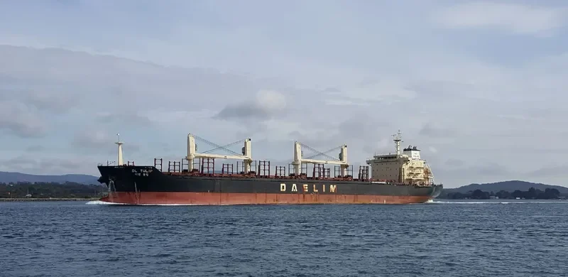 DL TULIP Bulk Carrier IMO 9621182