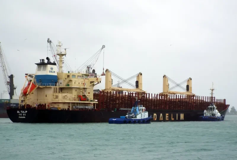 DL TULIP Bulk Carrier IMO 9621182 photo 2