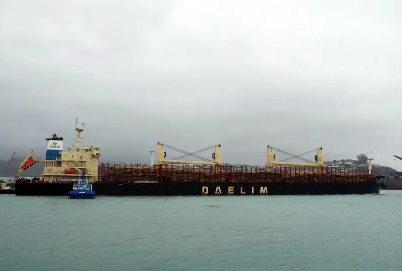 DL TULIP Bulk Carrier IMO 9621182 photo 3