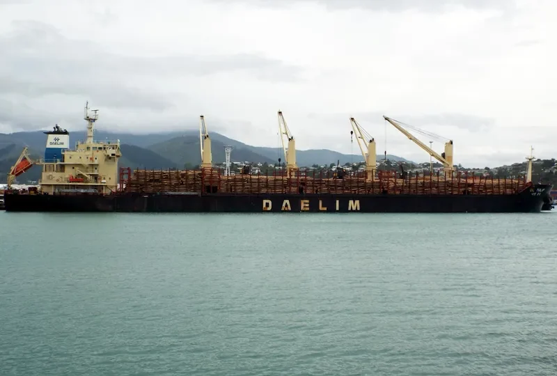 DL TULIP Bulk Carrier IMO 9621182 photo 4