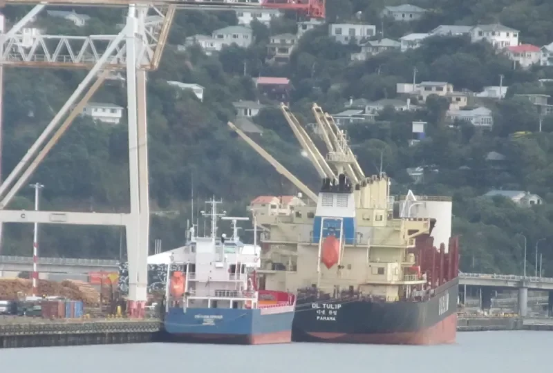 DL TULIP Bulk Carrier IMO 9621182 photo 5