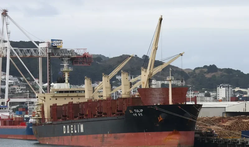DL TULIP Bulk Carrier IMO 9621182 photo 6