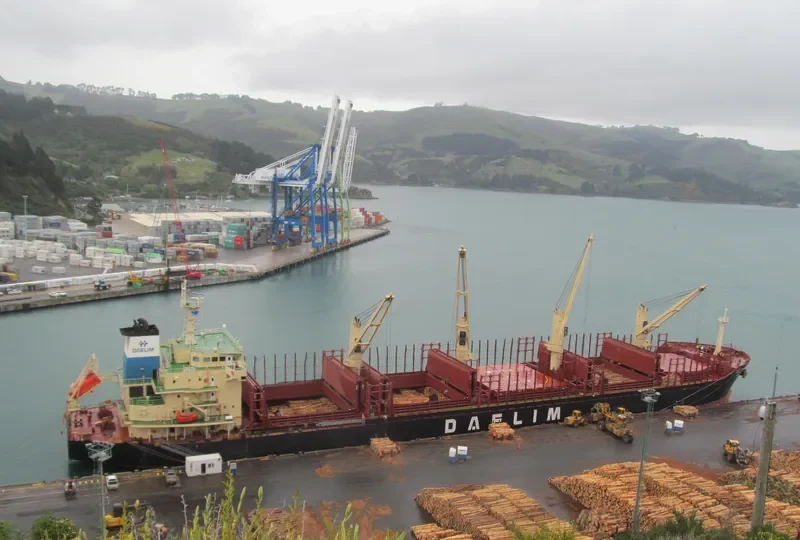DL TULIP Bulk Carrier IMO 9621182 photo 7