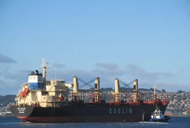 DL TULIP Bulk Carrier IMO 9621182 photo 8