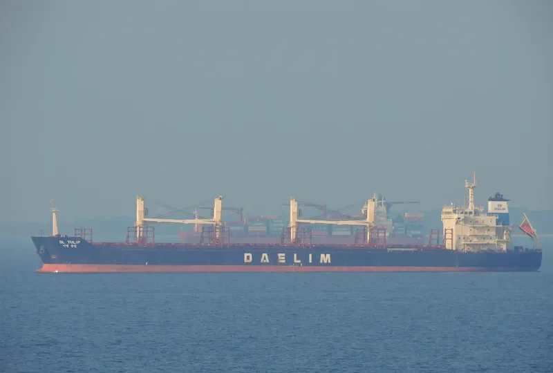 DL TULIP Bulk Carrier IMO 9621182 photo 9