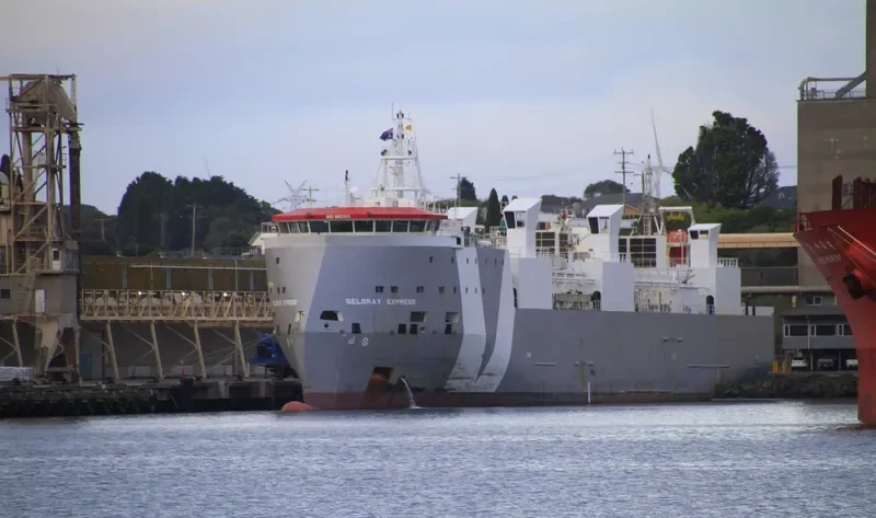 GELBRAY EXPRESS General Cargo IMO 9621211 photo 7