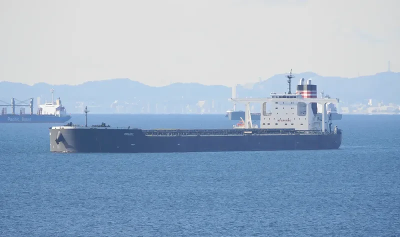 ORIHIME Bulk Carrier IMO 9621235 photo 5
