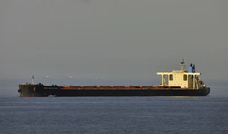 NSU MILESTONE Bulk Carrier IMO 9621261