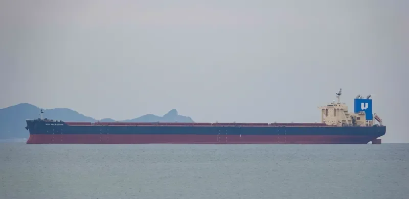 NSU MILESTONE Bulk Carrier IMO 9621261 photo 2
