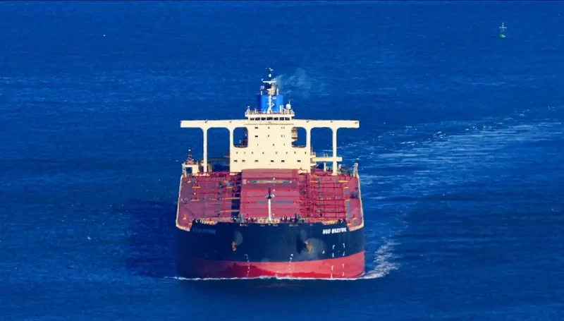 NSU MILESTONE Bulk Carrier IMO 9621261 photo 3