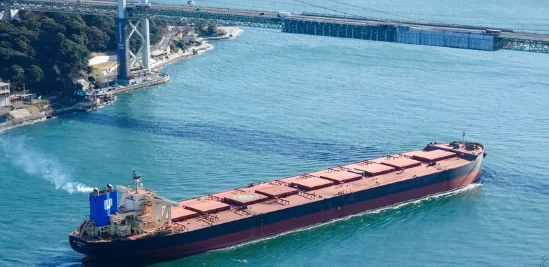 NSU MILESTONE Bulk Carrier IMO 9621261 photo 4