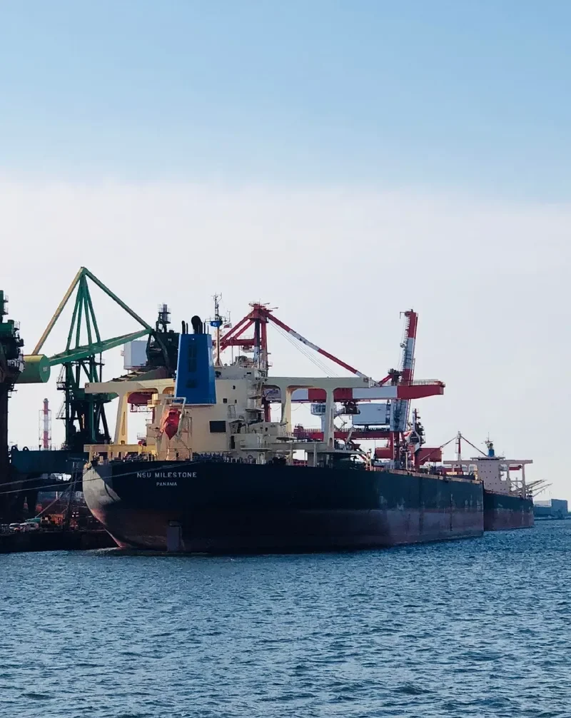 NSU MILESTONE Bulk Carrier IMO 9621261 photo 5