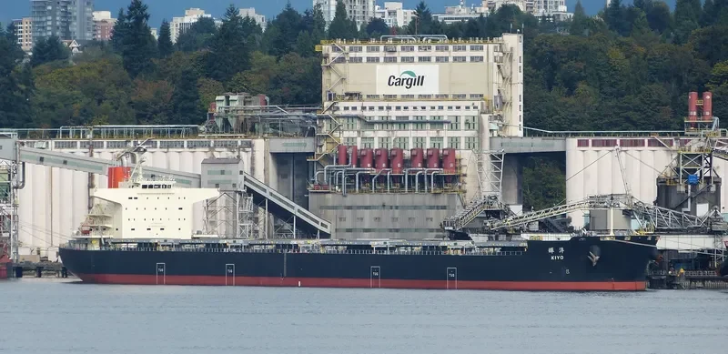 KIYO Bulk Carrier IMO 9621285 photo 6