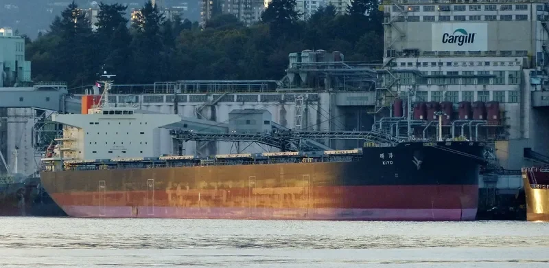 KIYO Bulk Carrier IMO 9621285 photo 8