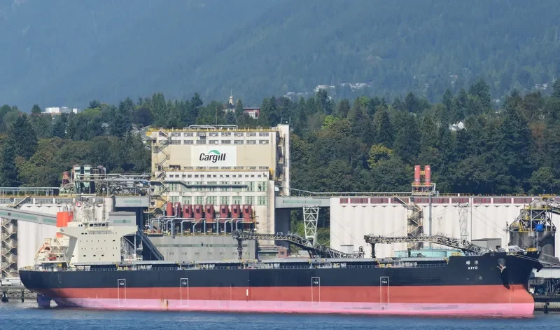 KIYO Bulk Carrier IMO 9621285 photo 9