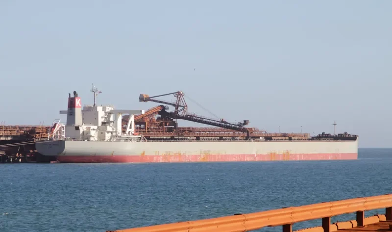 CAPE RELIANCE Bulk Carrier IMO 9621326