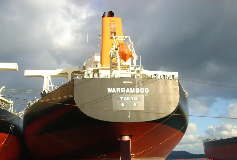 WARRAMBOO Bulk Carrier IMO 9621340 photo 2